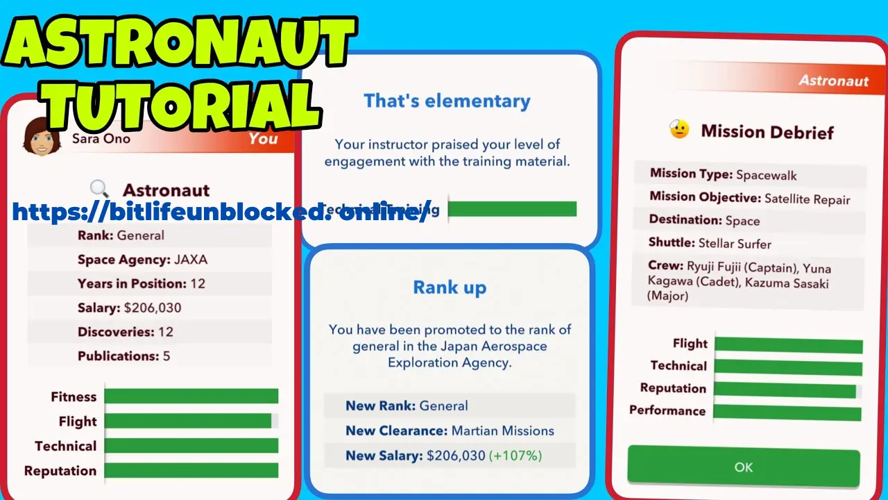 Get STEM Degree BitLife